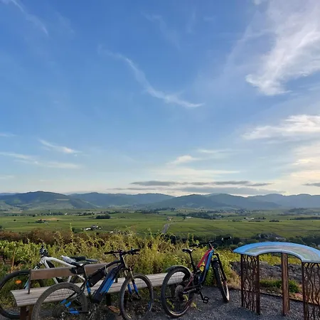 Gospodarstwo wiejskie Le Chene Du Py *