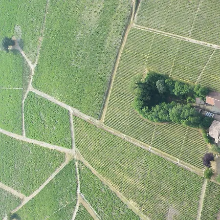 Country house Le Chene Du Py Villie-Morgon