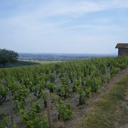 Le Chene Du Py Country house